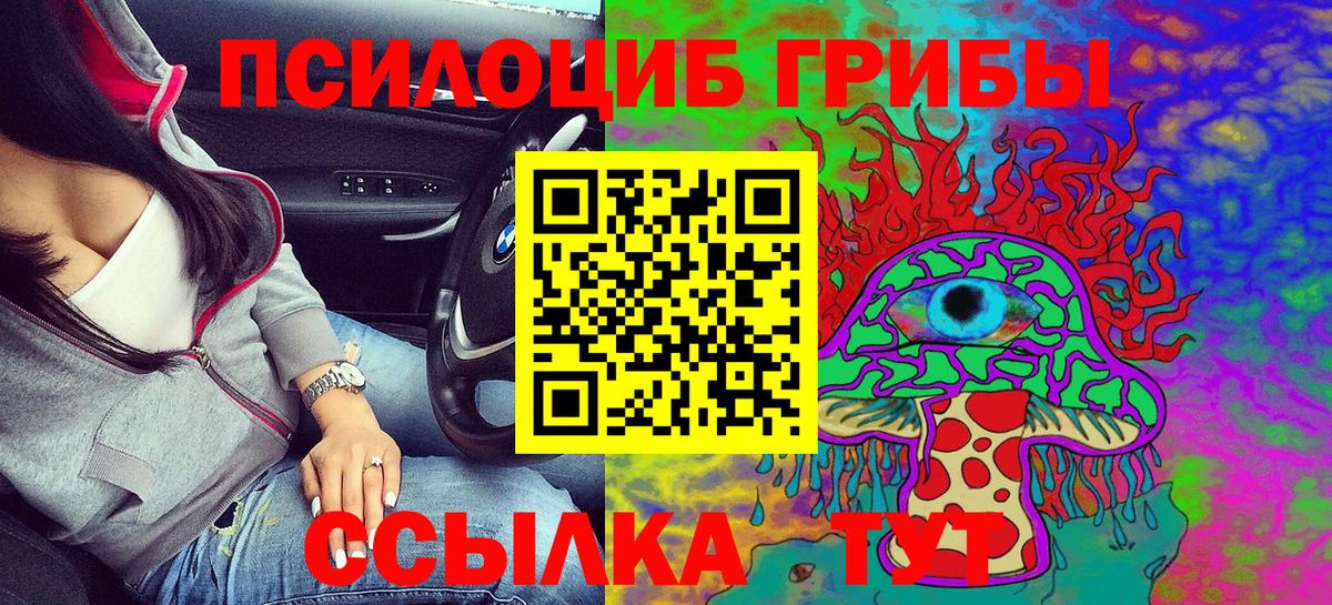 Протвино  Галлюциногенные грибы Cubensis  даркнет сайт  Вход с VPN 